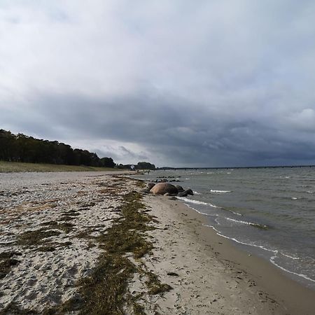 Ferienwohnungen "Weitblick" Und "Schwalbennest" Lodmannshagen 객실 사진