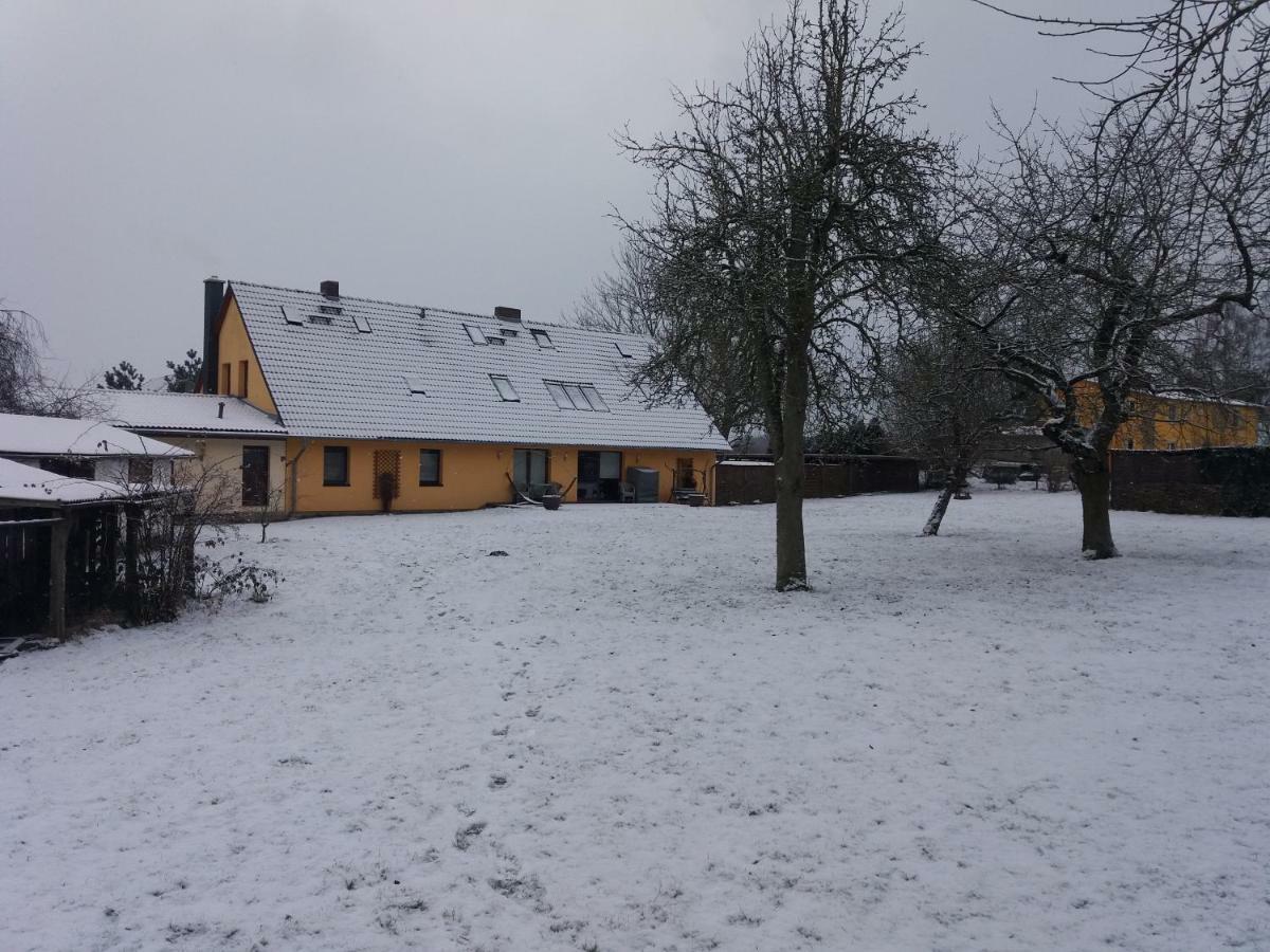 Ferienwohnungen "Weitblick" Und "Schwalbennest" Lodmannshagen 외부 사진