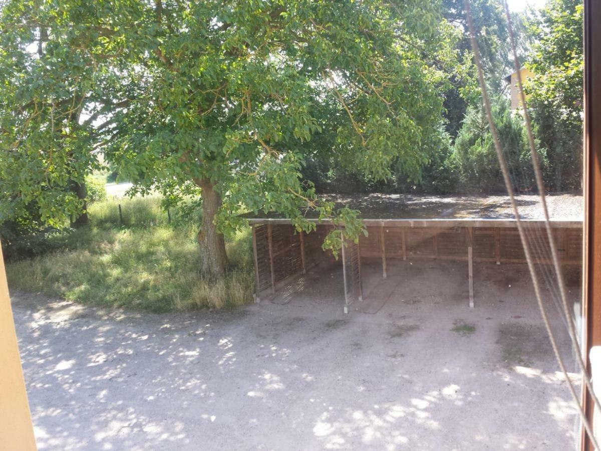 Ferienwohnungen "Weitblick" Und "Schwalbennest" Lodmannshagen 외부 사진