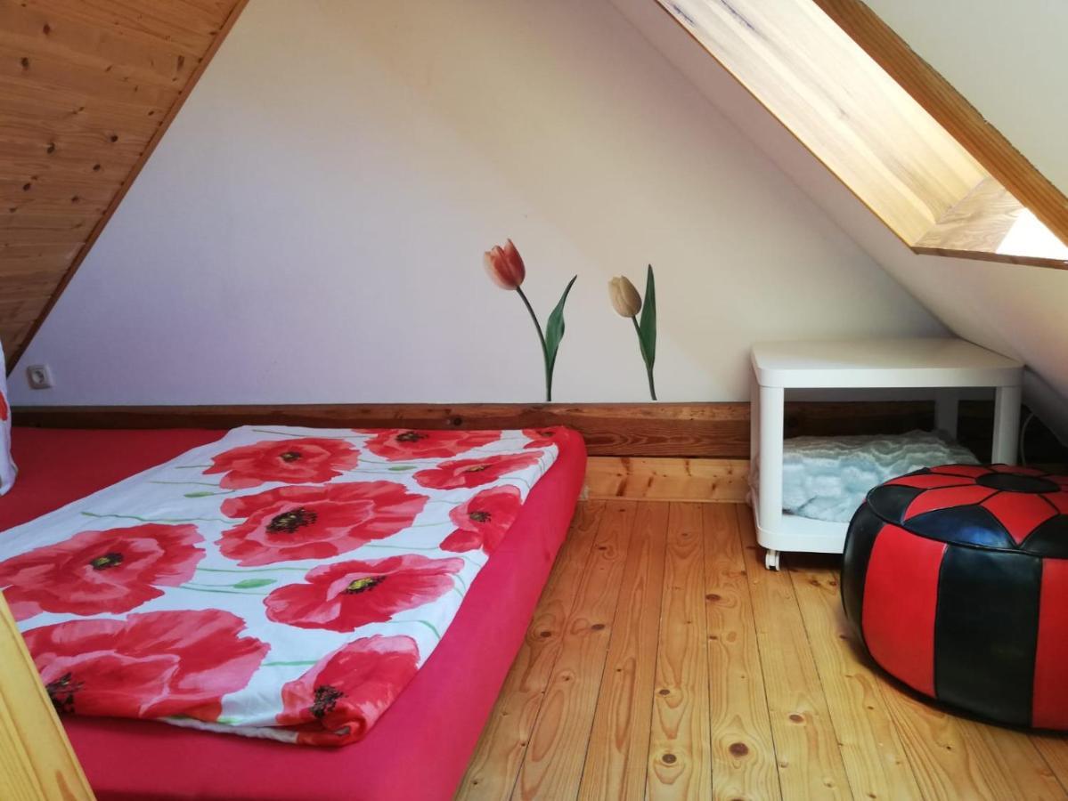 Ferienwohnungen "Weitblick" Und "Schwalbennest" Lodmannshagen 외부 사진
