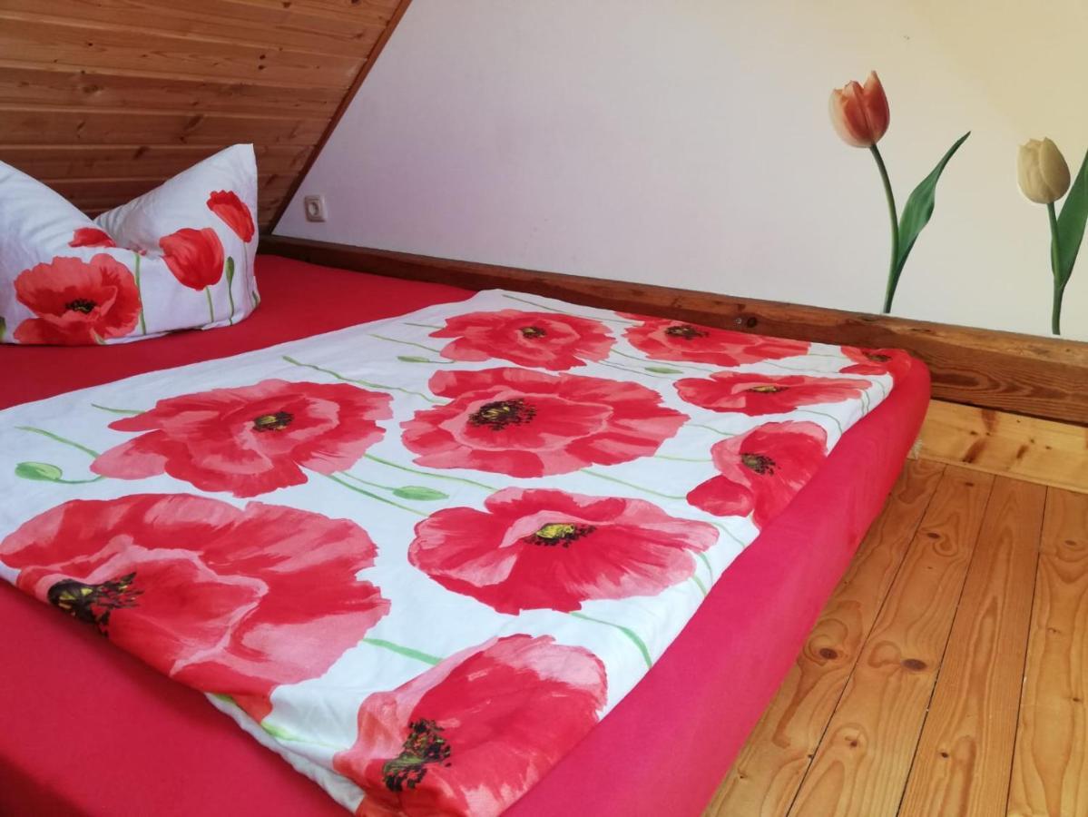 Ferienwohnungen "Weitblick" Und "Schwalbennest" Lodmannshagen 외부 사진